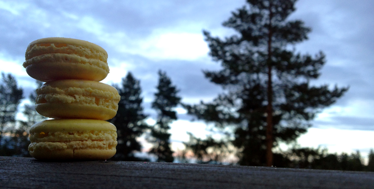 Makroner med ferskenyoghurt